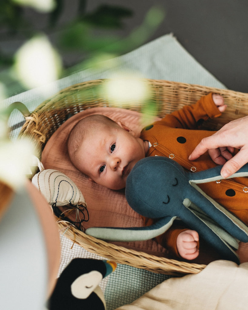 The Ultimate Guide: Must-Have Buys for New Parents in 2024 - Acorn & Pip