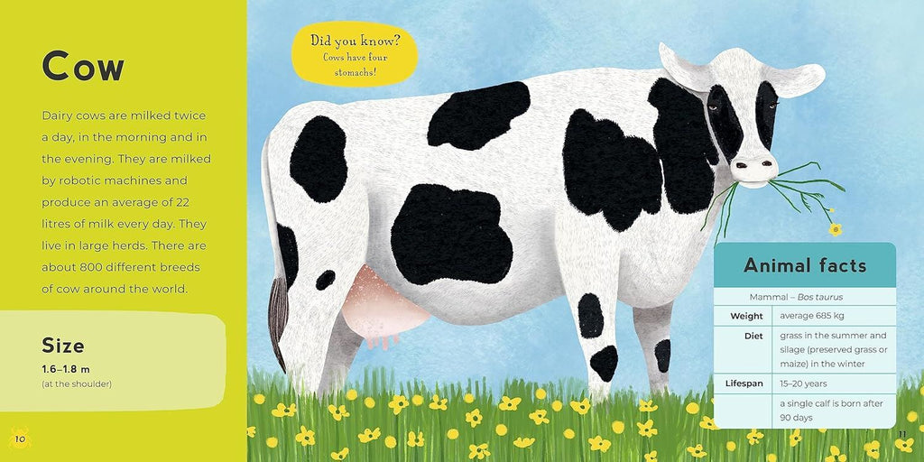 My First Book of Farm Animals (Board) - Farm Animal Books for Children at Acorn & Pip
