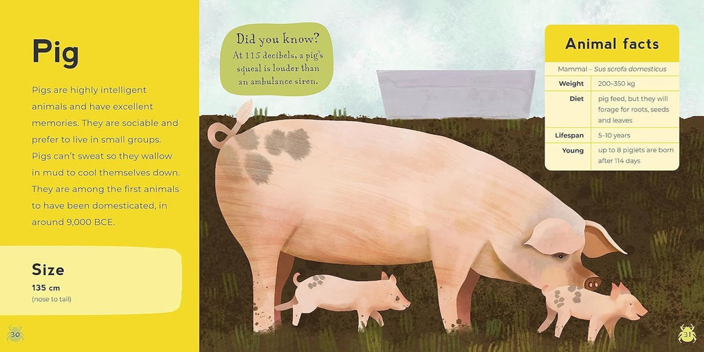 My First Book of Farm Animals (Board) - Farm Animal Books for Children at Acorn & Pip