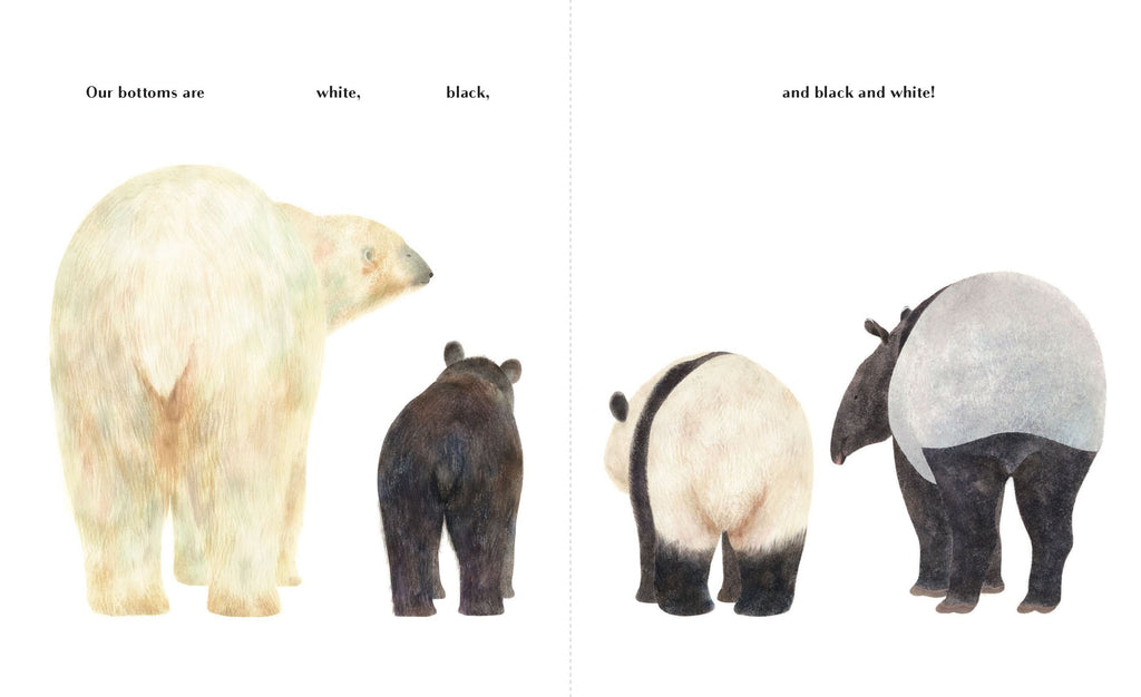 Animals Brag About Their Bottoms (Board) - Books about Animals for Kids at Acorn & Pip