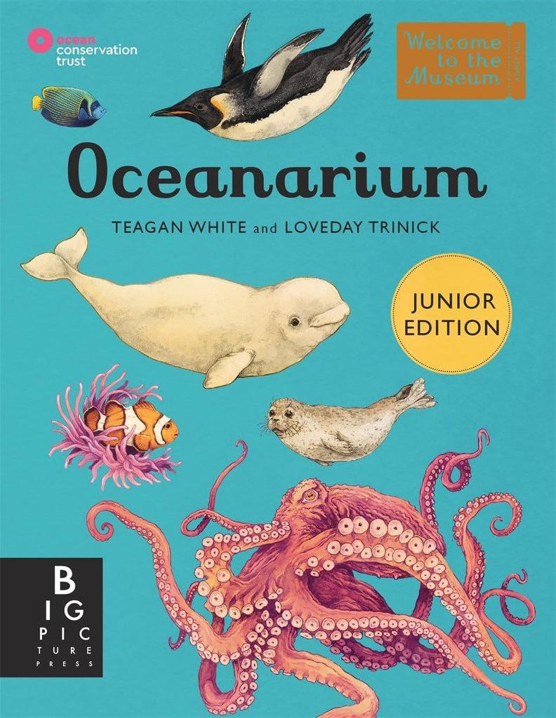 Oceanarium: Junior Edition (HB) - Books for Kids ages 6+ Sealife Ocean at Acorn & Pip