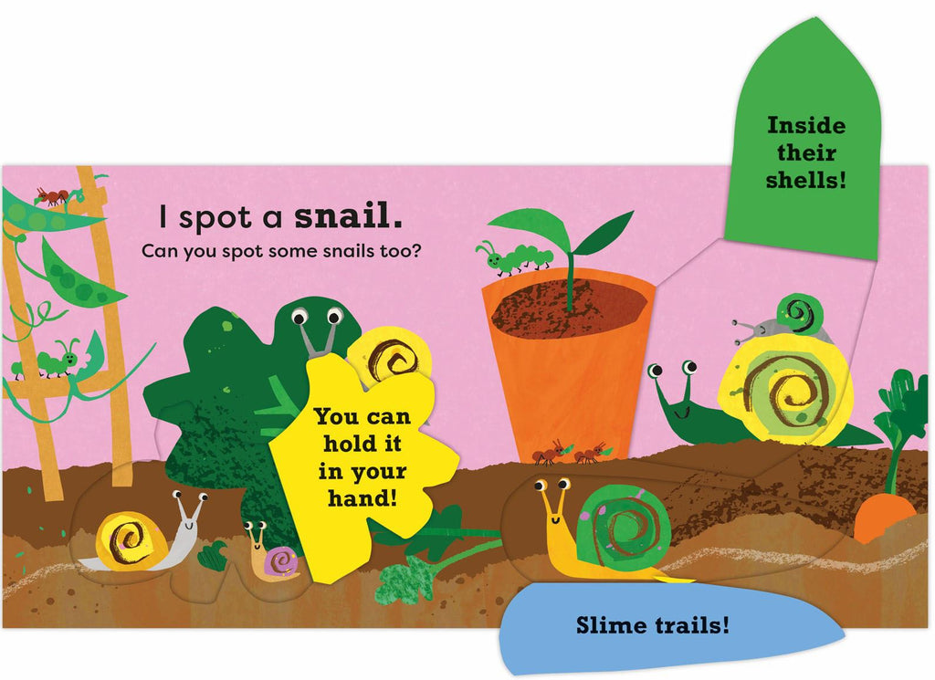 I Spot a Snail (Board) - Kids Books at Acorn & Pip