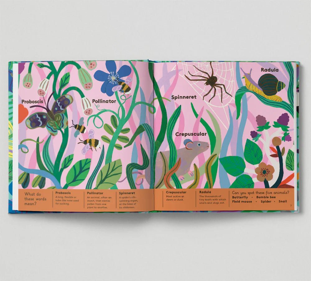 Animal Words For Little Zoologists (Hardback) - Acorn & Pip_Bookspeed