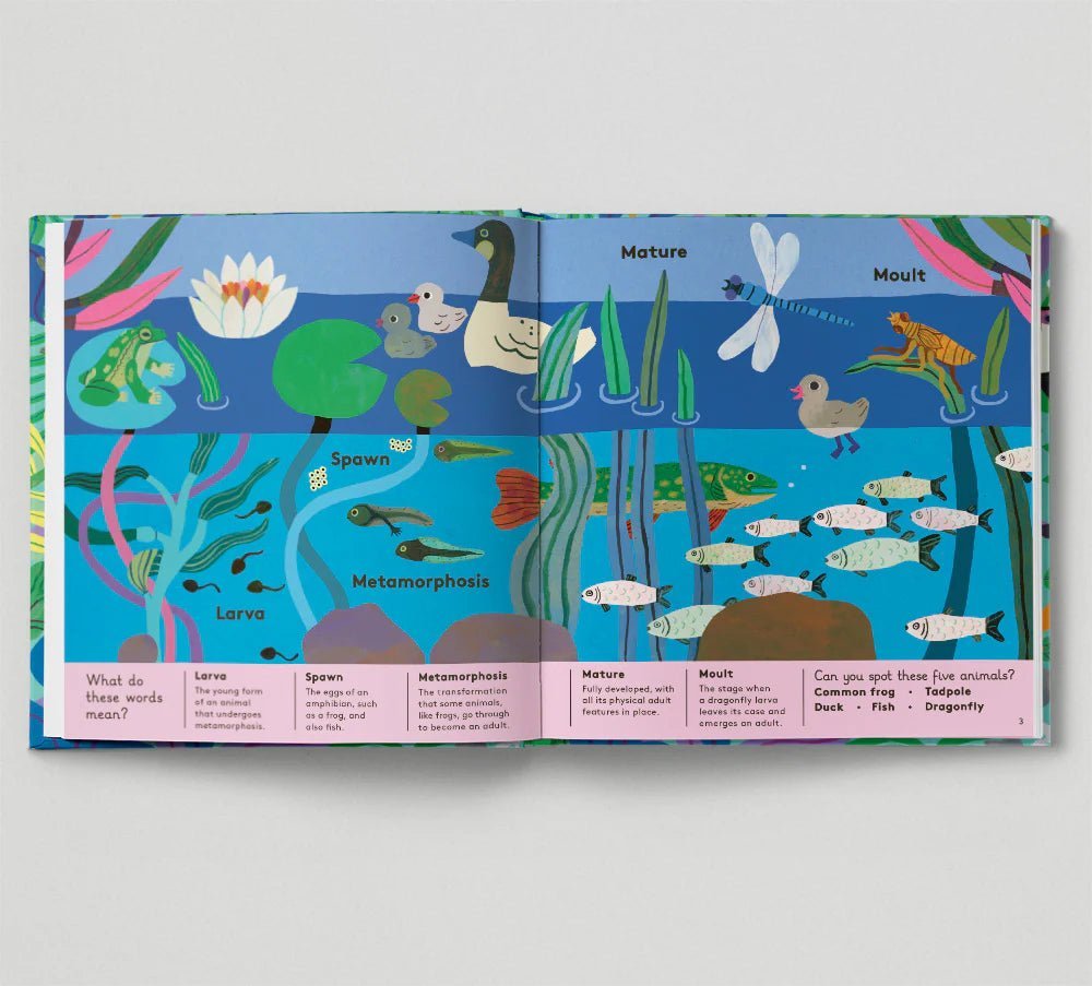 Animal Words For Little Zoologists (Hardback) - Acorn & Pip_Bookspeed