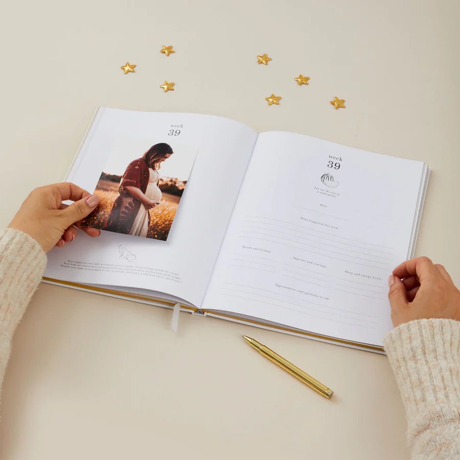 Blush & Gold: My Pregnancy Journal - Pearl with Gilded Edges - Acorn & Pip_Acorn & Pip