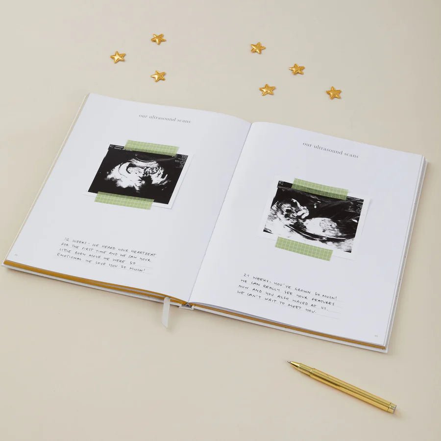 Blush & Gold: My Pregnancy Journal - Safari with Gilded Edges - Acorn & Pip_Acorn & Pip