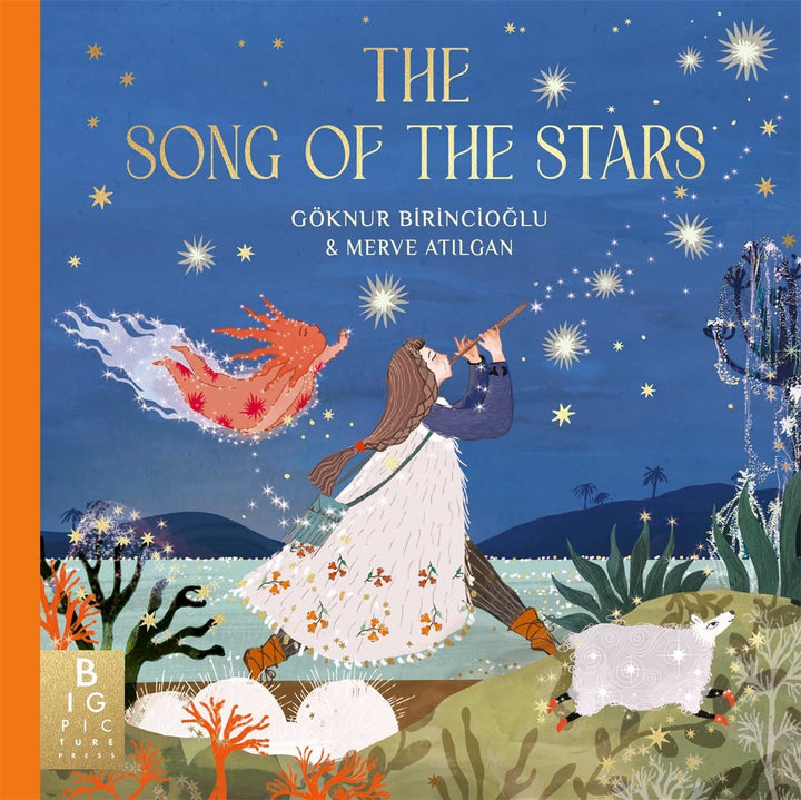 The Song of the Stars children's book cover