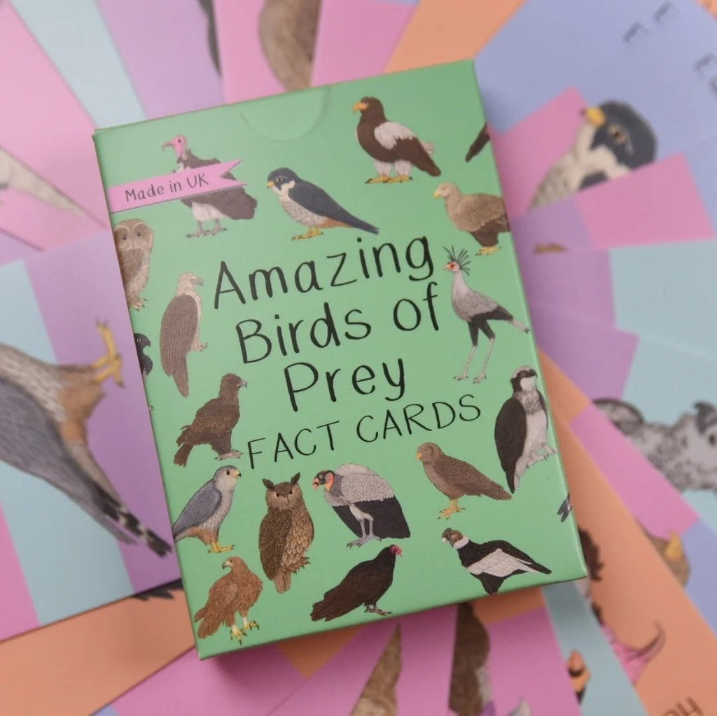 Button and Squirt: Amazing Birds of Prey Fact Cards - Acorn & Pip_Button and Squirt