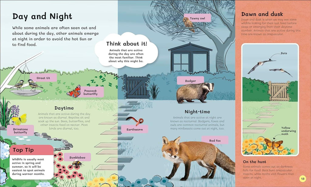 Children's Book of Wildlife Watching (HB) - Acorn & Pip_Bookspeed