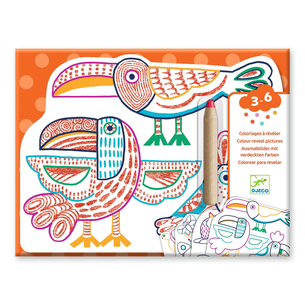 Djeco: Colour Reveal Pictures - Wild Families - Acorn & Pip_Djeco