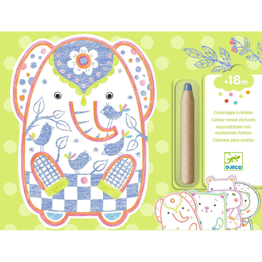 Djeco: Magic Colouring - Wild Animals - Acorn & Pip_Djeco