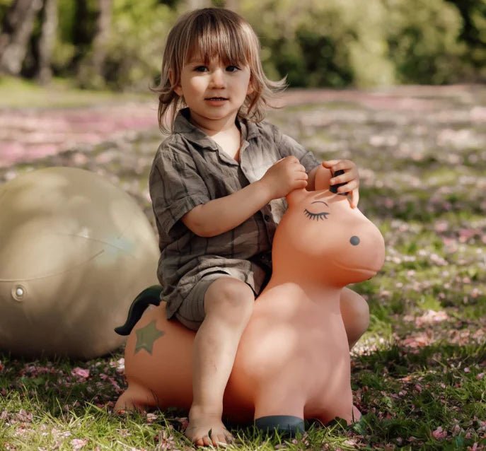 Find That Hippo: Hopping Animal - Unicorn - Acorn & Pip_Find That Hippo