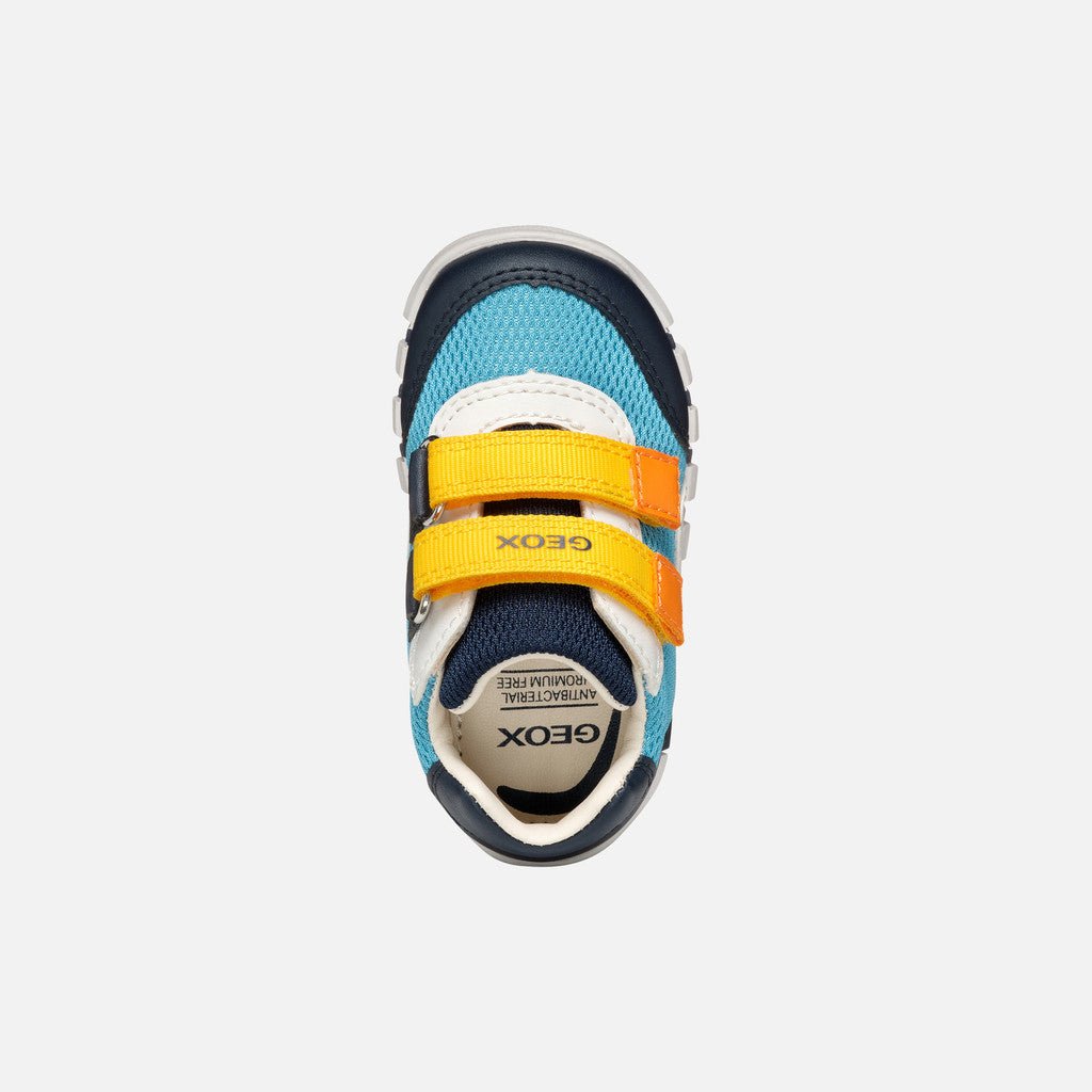 Geox: Iupidoo Velcro Trainers - Ocean / Navy - Acorn & Pip_Geox