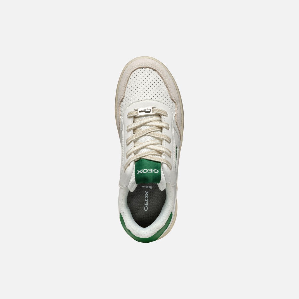 Geox: Washiba Lace Trainers - White / Green - Acorn & Pip_Geox