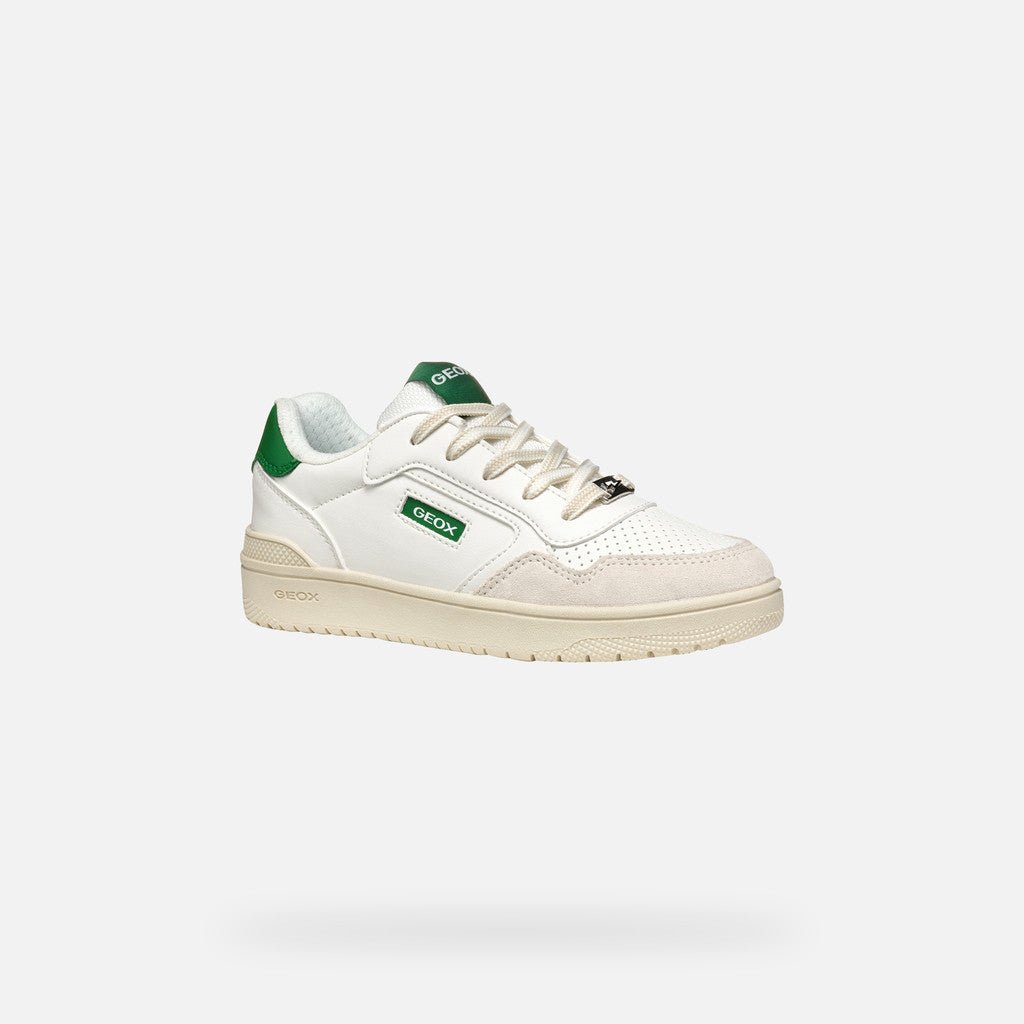 Geox: Washiba Lace Trainers - White / Green - Acorn & Pip_Geox