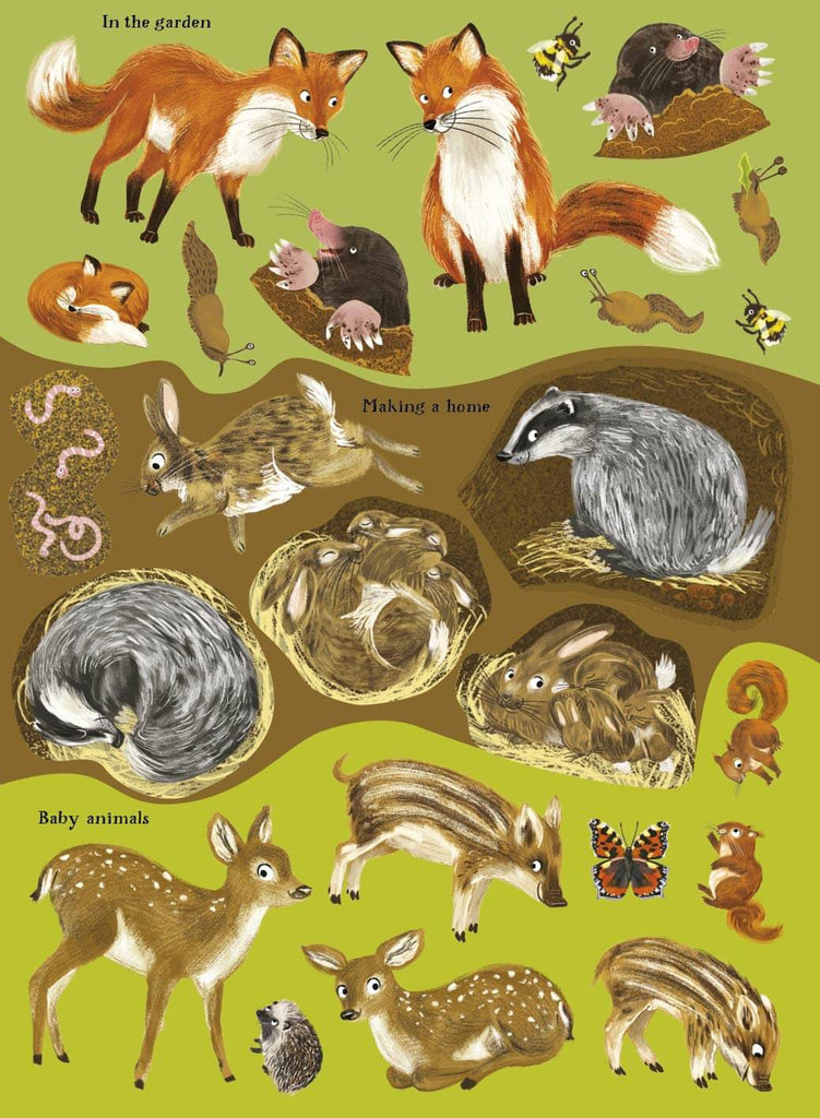 Hedgehogs, Hares & other British Animals - Acorn & Pip_Bookspeed