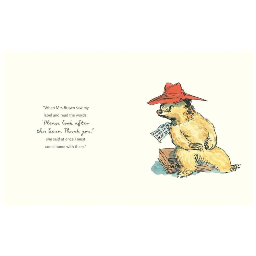 How to Be Loved Like Paddington - Acorn & Pip_Bookspeed