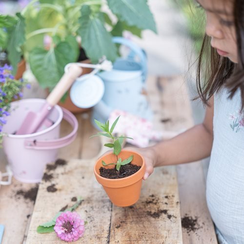 Little Dutch: Little Dutch Bucket - Fairy Garden - Acorn & Pip_Little Dutch