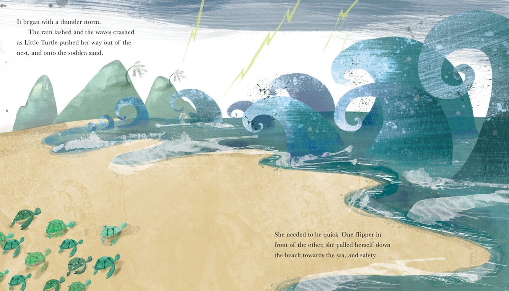 Little Turtle and the Sea (PB) - Acorn & Pip_Bookspeed