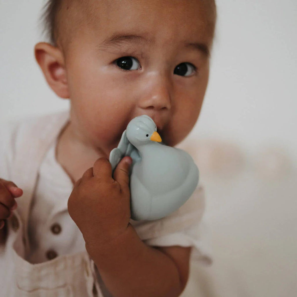 Natruba: Natural Rubber Bath Toy Peacock - Light Blue - Acorn & Pip_Natruba