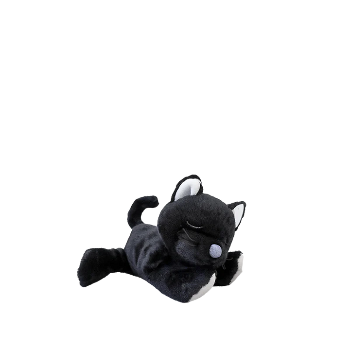 Olli Ella Koko black kitten