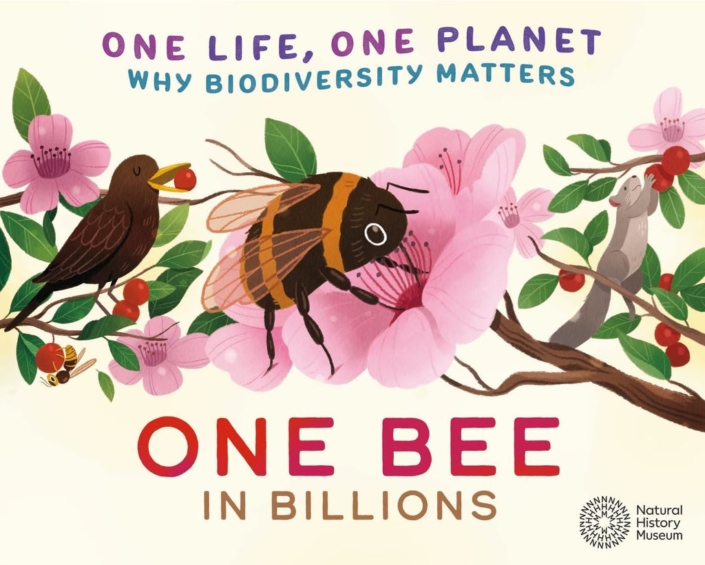 One Bee in Billions (HB) - Acorn & Pip_Bookspeed