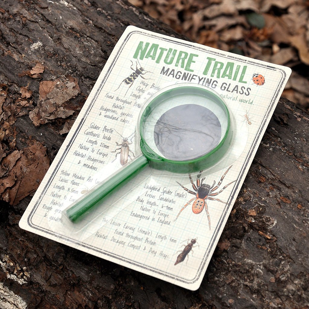 Rex: Magnifying Glass - Nature Trail - Acorn & Pip_Rex