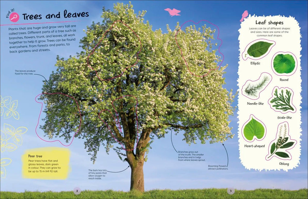 RHS Ultimate Sticker Book: Trees and Leaves - Acorn & Pip_Bookspeed