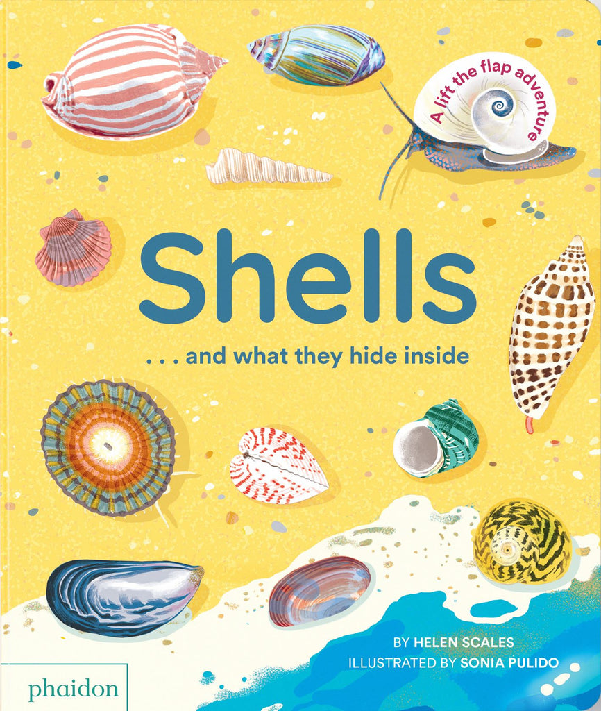 Shells and What They Hide Inside (Life the Flap) - Acorn & Pip_Bookspeed