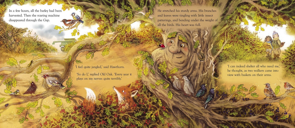 The Happy Hedgerow (HB) - Acorn & Pip_Bookspeed