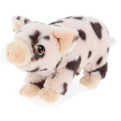 Keel: Spotty Pig - 28cm - Acorn & Pip_Keel Toys