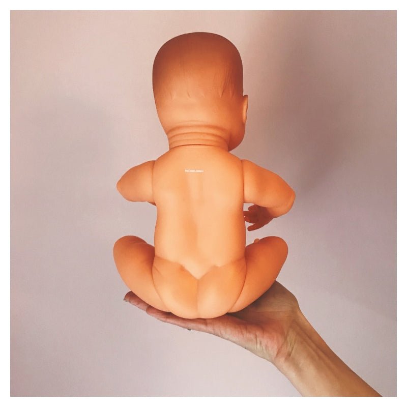 Miniland: Baby Doll - Boy C (40cm) - Acorn & Pip_Miniland