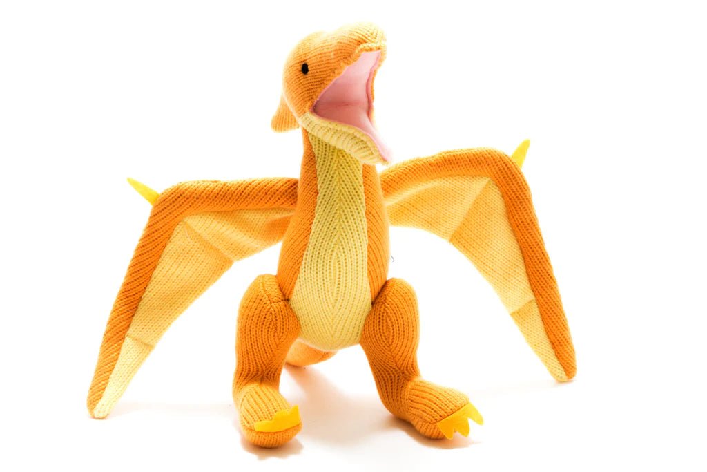 Pterodactyl Knitted Midi Dinosaur - Acorn & Pip_Best Years